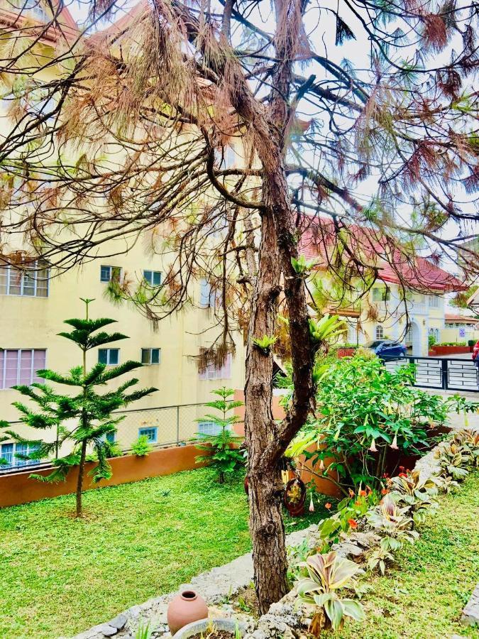 Elliannah Pines Hotel Baguio City Zewnętrze zdjęcie